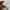 Under Armour Streetwear Sportswear Sweater Pria white photo 4