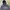 Streetwear Sportswear Sweater Pria gray photo 2