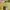 Hermes Birkin 30 Handbag Yellow Balzip Riri