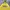 GAP Skater Sportswear Sweater Pria yellow photo 2