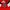 Adidas Y2K Sportswear Jersey Pria red photo 4