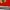 Adidas Y2K Sportswear Jersey Pria red photo 6
