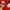 Adidas Y2K Sportswear Jersey Pria red photo 5