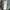 Carhartt Vintage Denim jacket Pria green photo 4