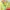 Adidas Y2K Sportswear Track jacket Wanita multicolor photo 4