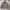 Stussy Vintage Streetwear Puffer jacket Pria gray photo 2