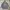 Stussy Vintage Streetwear Puffer jacket Pria gray photo 3
