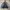 Stussy Vintage Streetwear Puffer jacket Pria gray photo 8