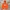 GAP Streetwear Sportswear Sweater Pria Orange