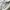 Adidas Vintage Sportswear Track jacket Pria white photo 6