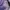Sportswear Casual Track Jacket Pria Purple Gray