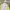Nike NSW Streetwear Sportswear Sweater Pria white green blue photo 4