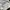 Dickies Streetwear Sweater Pria cream photo 4