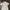 Fred Perry Sportswear Casual Suit Pria Gray