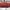 Gucci Bags & purse Wanita burgundy brown photo 3
