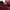 Gucci Bags & purse Wanita burgundy brown photo 5