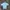 Fruit Of The Loom Casual T-shirt Pria Green
