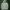 Thisisneverthat Avant Garde Casual Puffer Jacket Pria Gray
