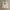 Converse Y2K Hoody Pria white photo 2