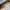 Prada Sunglass Wanita silver photo 2
