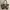 Vivienne Westwood Bags & purses Accessories Wanita tan brown photo 2