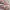 Nike Casual Sneakers Wanita multicolor photo 4