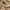 Carhartt Luxury Sweater Pria tan cream photo 6