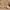 Carhartt Luxury Sweater Pria tan cream photo 3