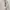 Miu Miu Mini skirt Wanita white photo 5