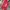 Nike Casual Sneakers Pria red photo 4