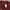 Stussy Streetwear T-shirt Pria burgundy photo 4