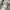 Avirex Streetwear Avant Garde Bomber jacket Pria multicolor photo 8