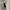 Polo Ralph Lauren Casual Polo shirt Pria white photo 4