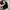 Nike Lolita Casual Hat Pria black photo 3