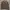 Champion Streetwear Skater Sweatshirt Pria Brown