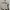 MLB Sportswear Hoody Pria cream photo 2