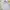 Streetwear Skater Sweater Pria gray photo 1