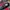 Adidas Streetwear Sneakers Pria white red black photo 8