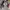 Adidas Streetwear Sneakers Pria white red black photo 6