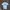 Universal Studios Casual Polo shirt Pria white blue photo 6