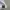 Adidas Sportswear Minimalist T-shirt Pria white photo 3