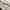 Vintage Y2K Pria white photo 7