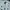 Karl Kani Casual Polo shirt Pria white black photo 5