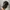 New Era Sportswear Casual Hat Pria Navy Black