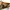 Casual Hat Pria khaki photo 5