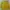 Casual Sweater Pria yellow photo 1
