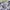 Casual Fleece Pria white gray photo 3