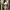 Luxury Bodycon dress Wanita tan photo 4