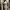 Luxury Bodycon dress Wanita tan photo 2