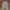 Uniqlo Casual Formal pants Pria gray photo 2